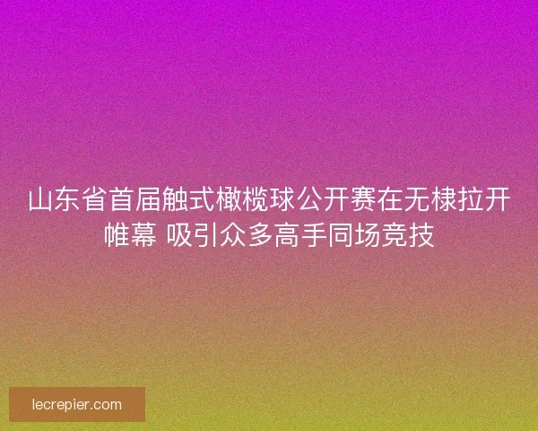 山东省首届触式橄榄球公开赛在无棣拉开帷幕 吸引众多高手同场竞技 山东省首届触式橄榄球公开赛在无棣拉开帷幕 吸引众多高手同场竞技